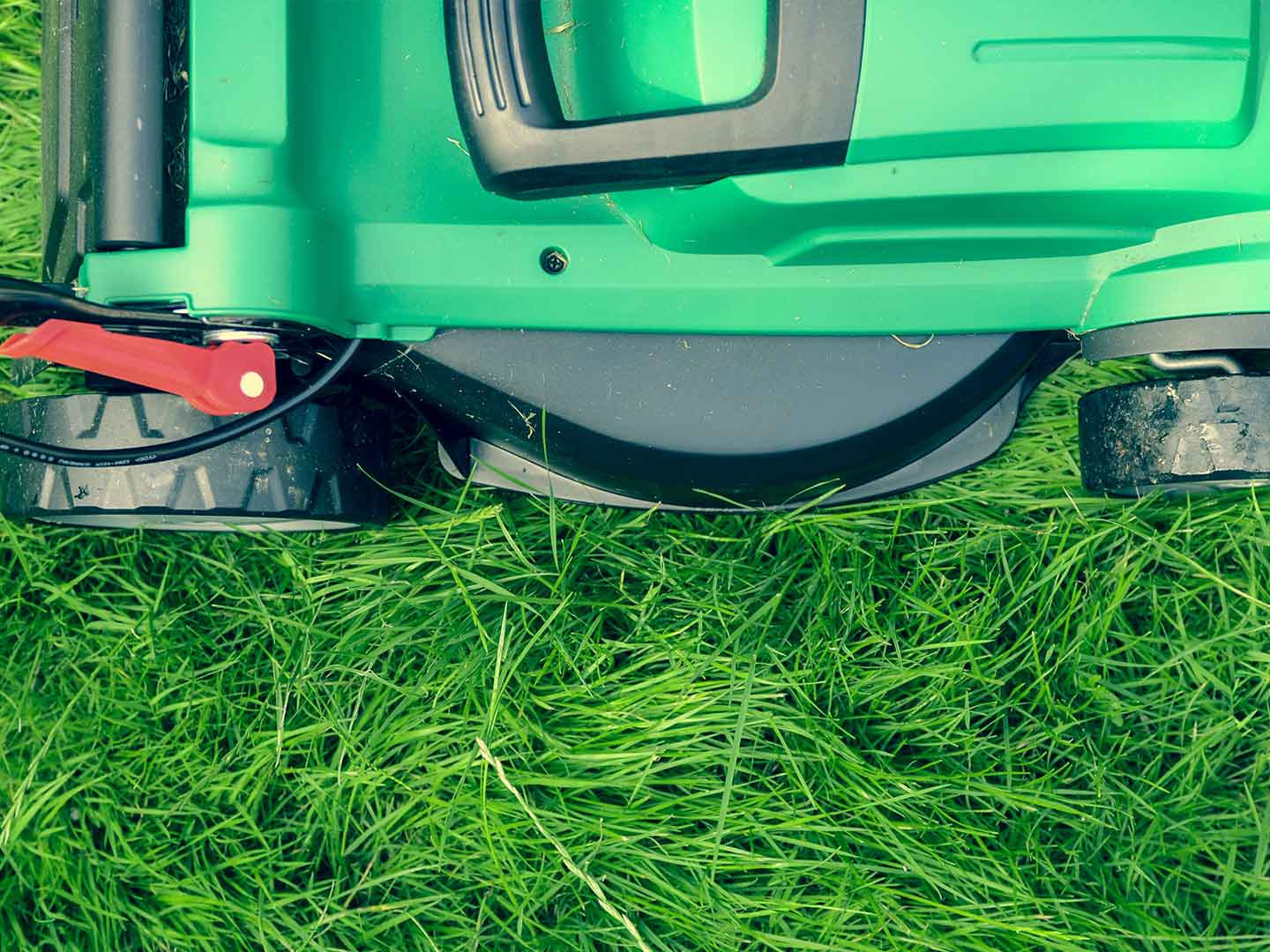 Lawn Maintenance and Lawn Care Midland, TX Grassfire Lawn and